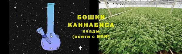 индика Богданович